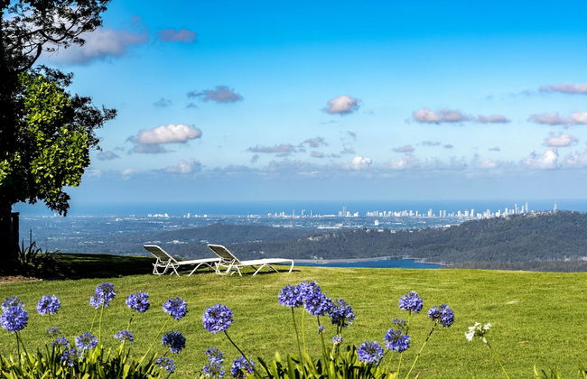 Rosewood Estate - Foto 38