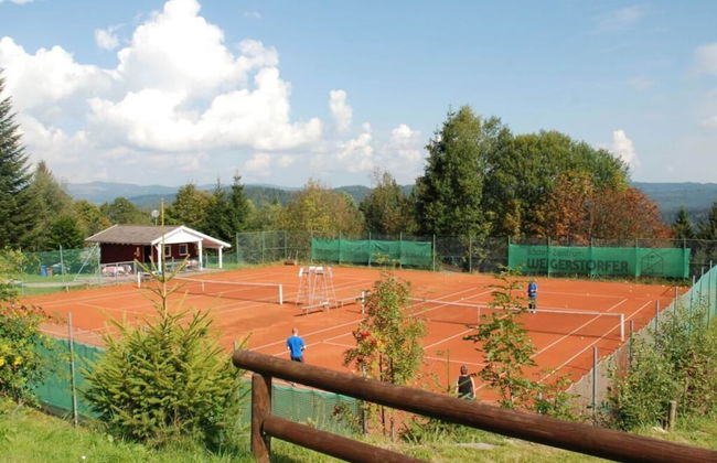 Mitterdorf Modern Retreat - Foto 9