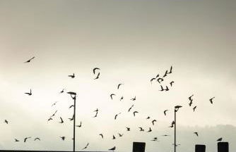 Rückzugsort mitten im Paradies - Foto 28