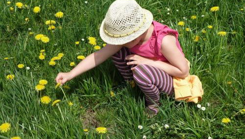 Wastlhof - Foto 4, Other