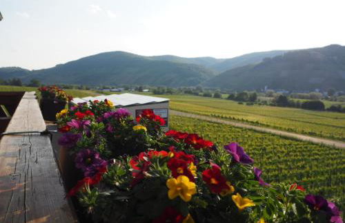 Weingut & Gästehaus Andreas Erz - Foto 13