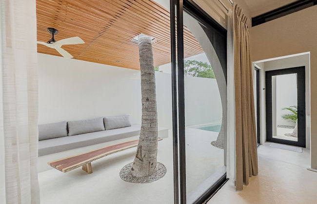 Punta Mágica - Foto 17