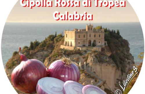 SuiteCorso - Foto 51