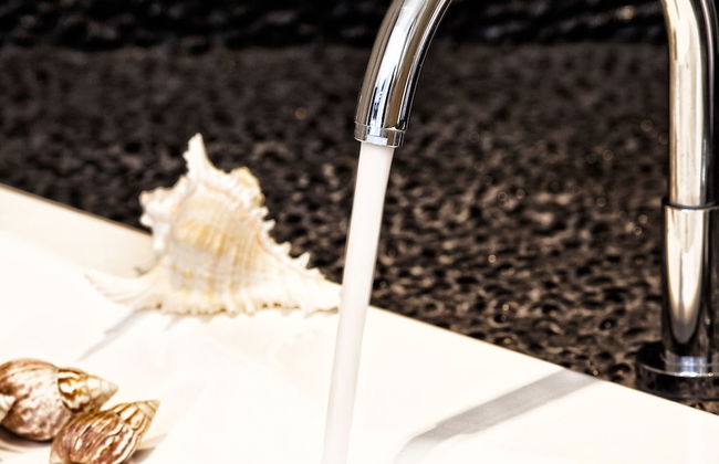 Golden King - Foto 36