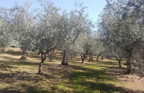 Capannori Stylish Townhouse - Foto 39