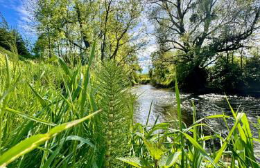 Am Flussgarten - Foto 12