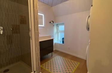 La Pistacherie à 30m de la plage de Grande Rive - Foto 18