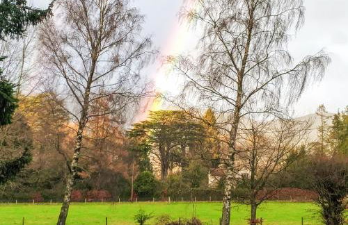 Salmon-Leap Lodge - Foto 17