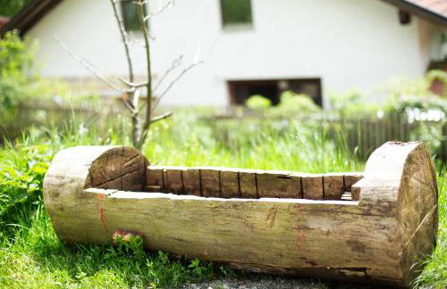 Tinyhaus 1 - Foto 13