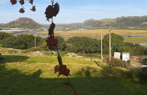 Bron Madog - Foto 26