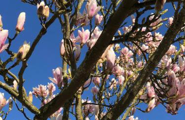 Chapel Barn - Foto 4