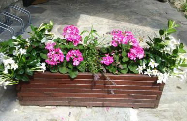 La finestra sulla contea - Foto 16