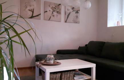 Schneckenhaus - Foto 12