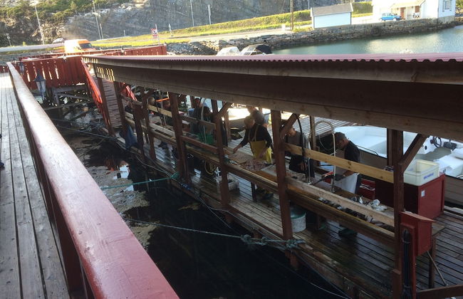 Sotra Rorbusenter - Foto 54