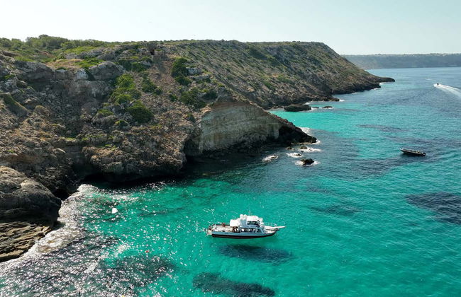 Palma Bay Boat Trip - Foto 8