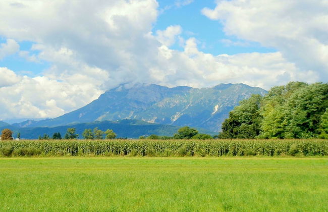 Villa in Northern Italy Near Borgo di Toppo - Foto 34