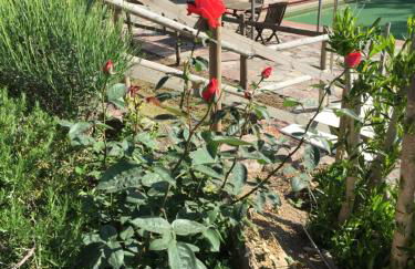 Hotel Campo Di Carlo - Foto 59