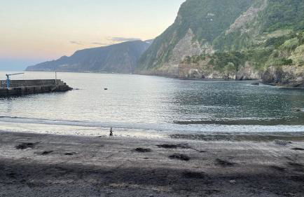 Casas das Hortas, Studio Vista Jardim e Serra - Foto 33