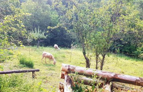 La Balotta Sport-Natura-Relax - Foto 7