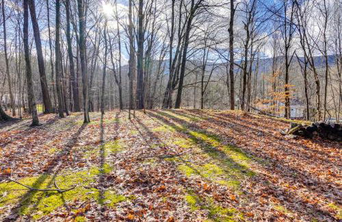 Mtn Views and On-Site Hiking Trails Catskills Cabin - Foto 25