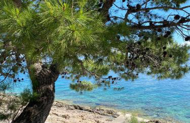 Dalmatino - apartment 6 - Photo 5