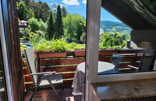 Schwarzwald-Ferienwohnungen Begert - Foto 48