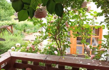 Apartman Latin 2 - Photo 5