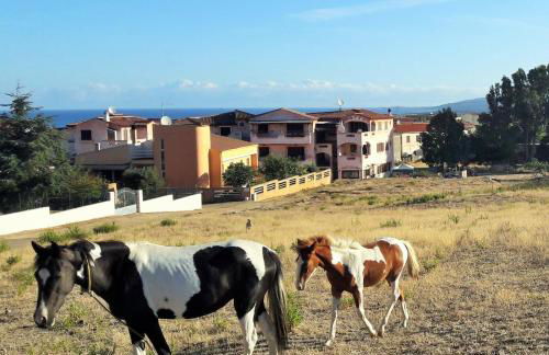 Casa Vacanze residence Cavour - Foto 30