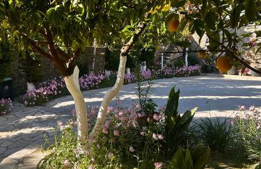 La Bella Vita - Luxury Holiday House close to Corfu Town - Foto 78