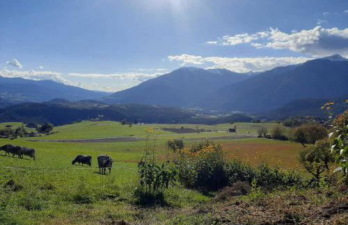 Herzleierhof Rodeneck - Photo 43