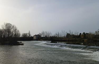 PINAR DE LAS CABAÑUELAS - Foto 62