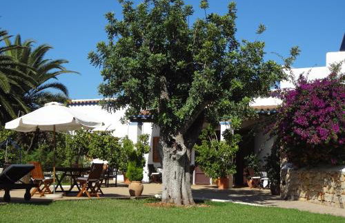 Agroturismo Sa Vinya d'en Palerm - Foto 115