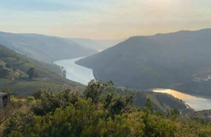 Quinta da Casa Cimeira, Guest House, Wines & Food - Foto 2