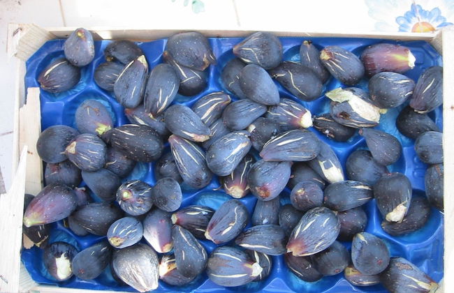 Villa "mare" - Suspended Over the sea - Foto 25