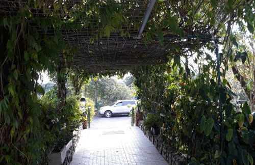 A Deolinda - Foto 14