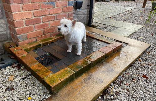 Robin Hood Tower - Foto 24