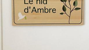 Le nid d'Ambre - Foto 3