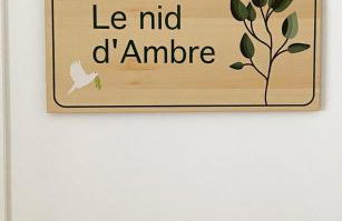 Le nid d'Ambre - Foto 3