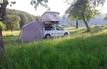 Bushof - Leben auf dem Land - Foto 34