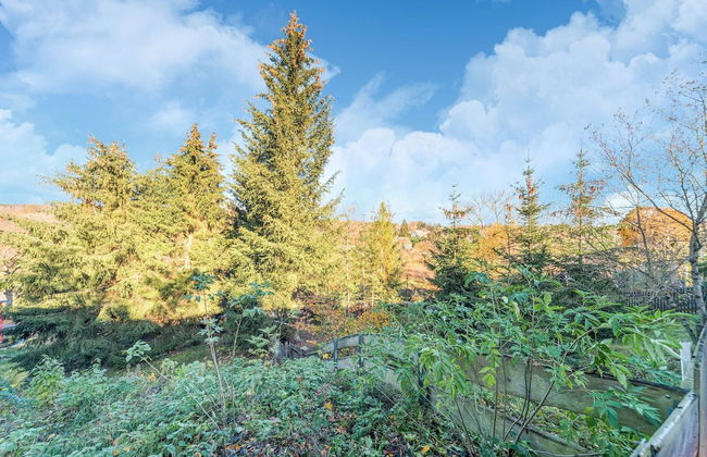 Comely Holiday Home in Guntersberge Near Forest - Foto 62