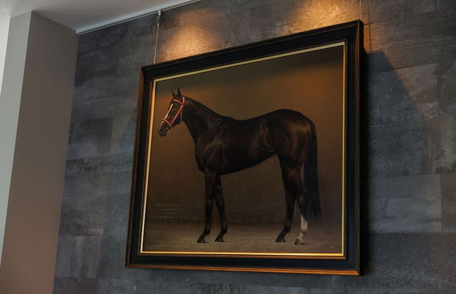 LYS GRACIEUX【Ezo Fuji hoothills】 - Photo 40