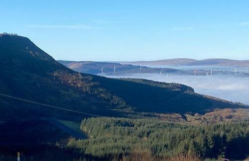 Herbert Place - Foto 38