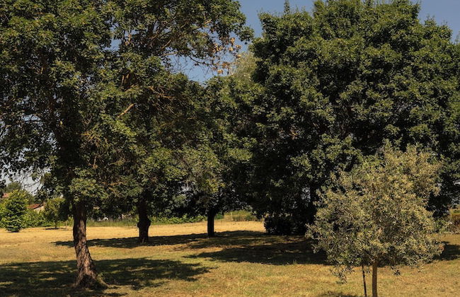 THE MONNA LISA RESORT - Photo 50