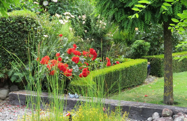 Marchmont Gardens - Photo 16