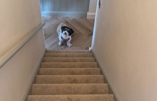 Kemp's Kottage - Foto 21