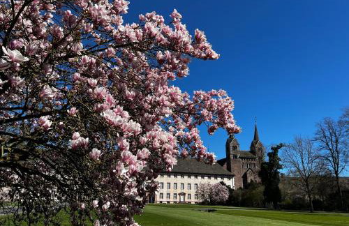 Weserfeeling Apartment in Höxter - Foto 7