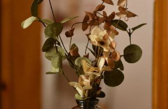 Kostaras Comfort Stay - Foto 11