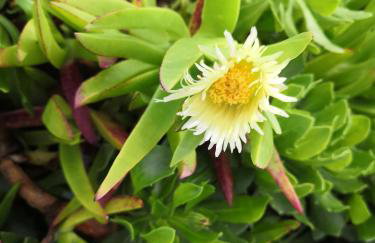 La Maison de la Mer - Foto 17