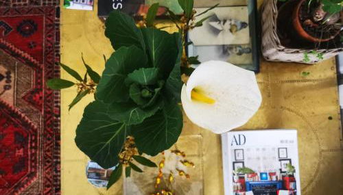 Casa Batalla - Foto 4