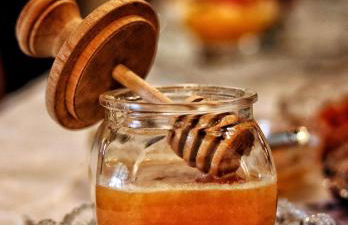 Quinta do Regalo - Foto 49